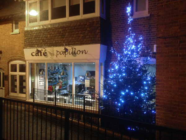 Our Christmas lights go on 2015 - Tree