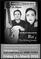 Bee & The String Junkie - Entertainment in Oxted